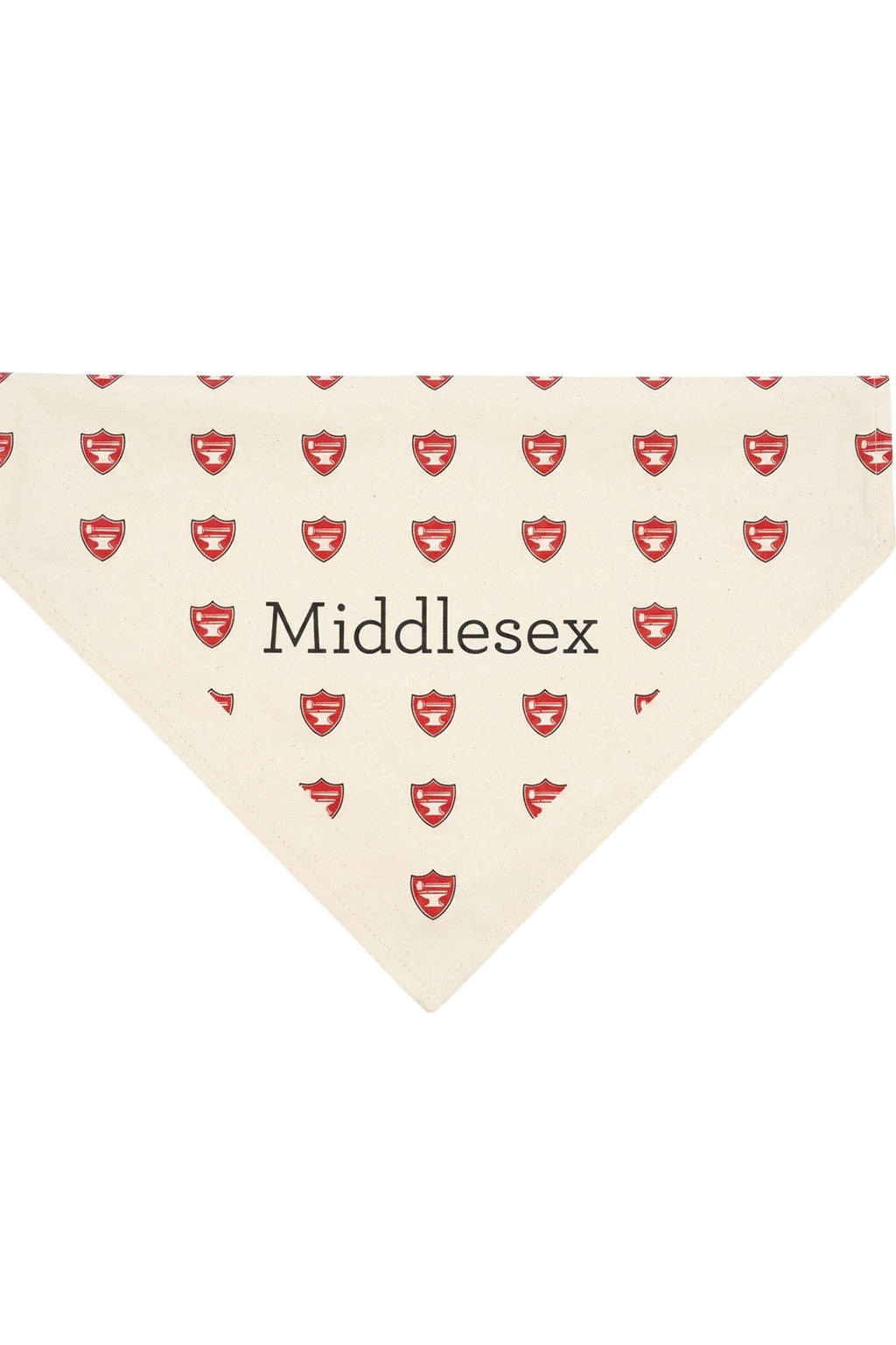 Triangle Bandana