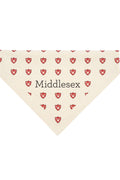 Triangle Bandana