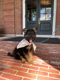 Dog Triangle Bandana