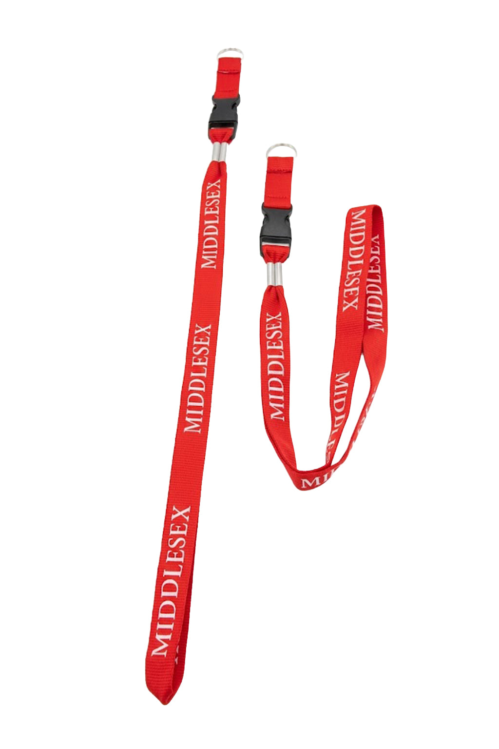 Lanyard