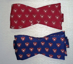 281 - Vineyard Vines Bow-tie