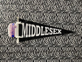 Felt Pennant or Banner